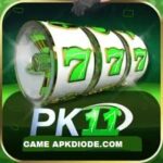 PK11 Game